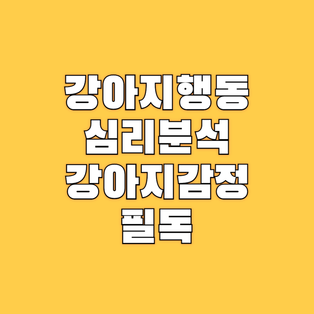 강아지행동심리분석 언어