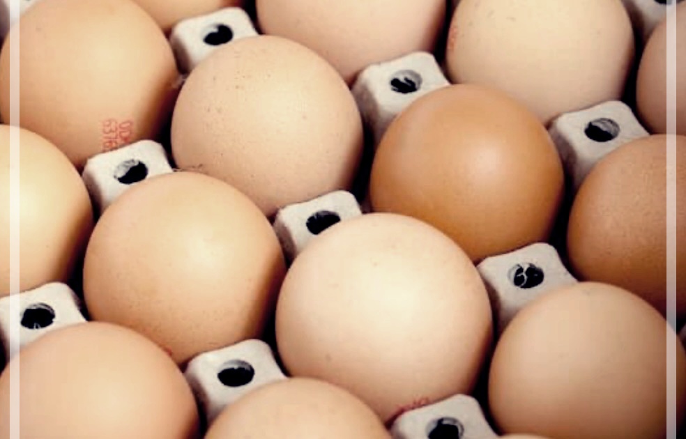 구운계란의 효능, 부작용, 보관방법에 대해