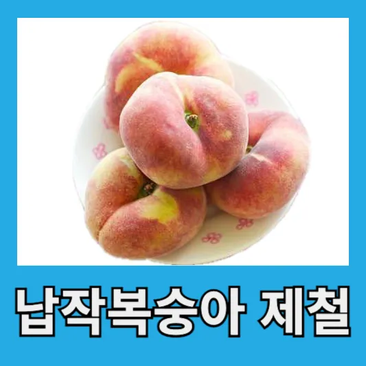 납작복숭아 제철