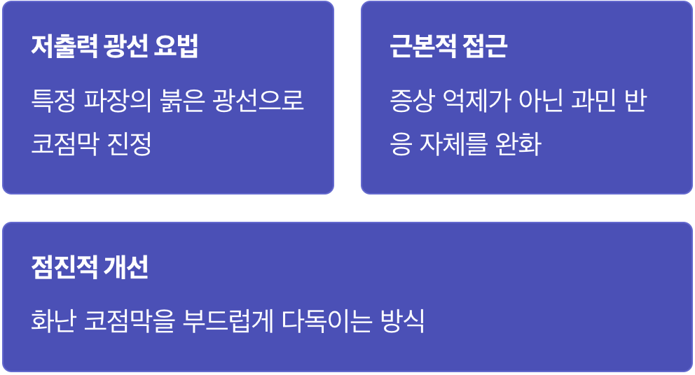 반신반의, 이 작은 불빛의 정체