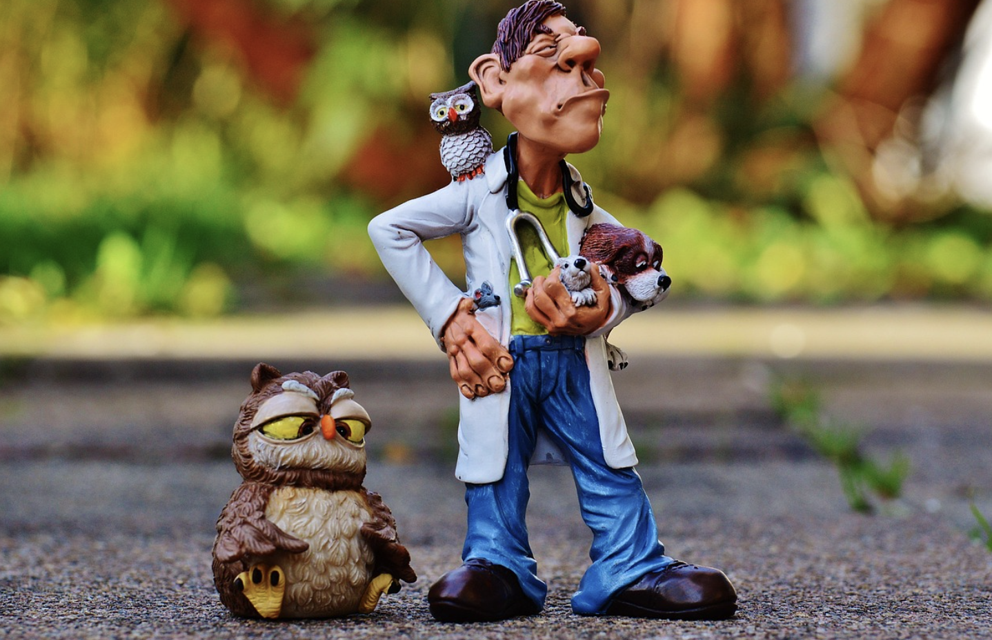 동물 수의법의학자 – 동물의 죽음 뒤에 숨은 진실을 밝히는 전문가