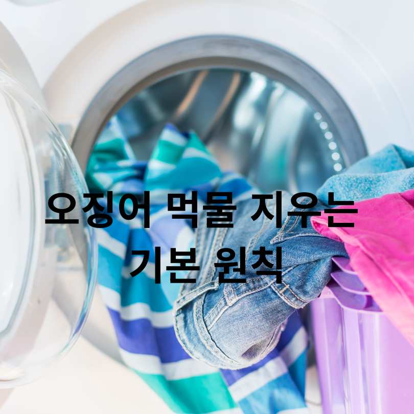 오징어 먹물 지우는 방법 총정리