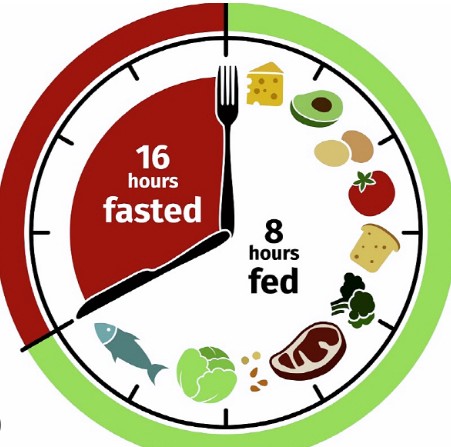 간헐적 단식 : 논란의 중심에 선 다이어트 방법