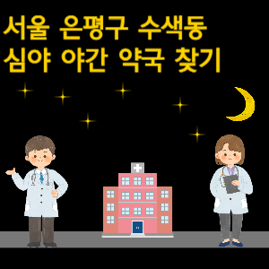 서울 은평구 수색동 심야 야간 24시 약국 찾기