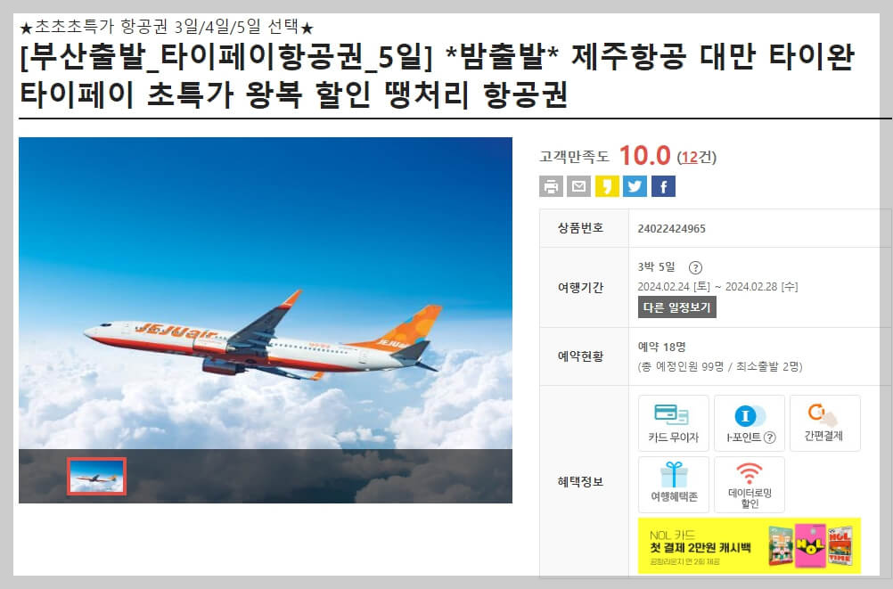 인터파크 땡처리 항공권