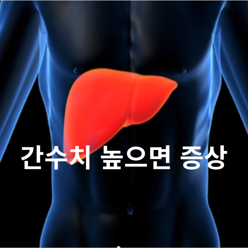 간수치-높으면-증상-낮추는법-정상범위