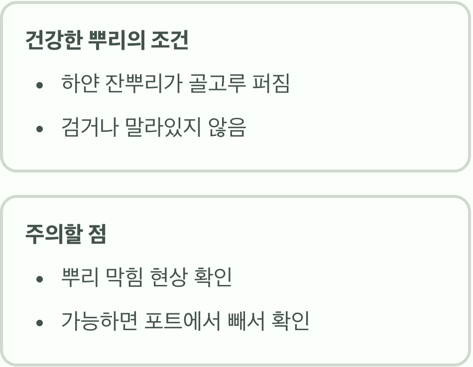첫 번째, 흙 속에 숨겨진 건강 '뿌리'