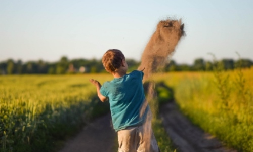 2025 서울 손주 돌봄수당