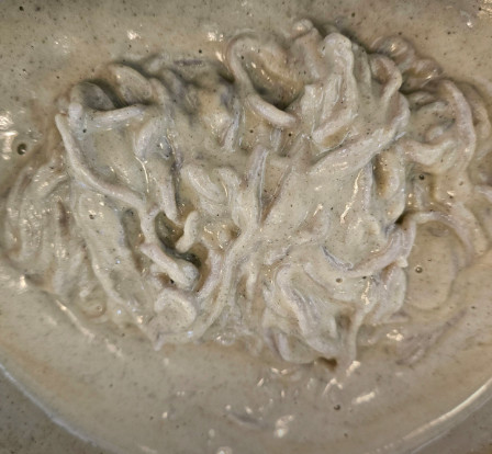 생방송투데이 한우물의법칙 서리태콩국수 광주 맛집