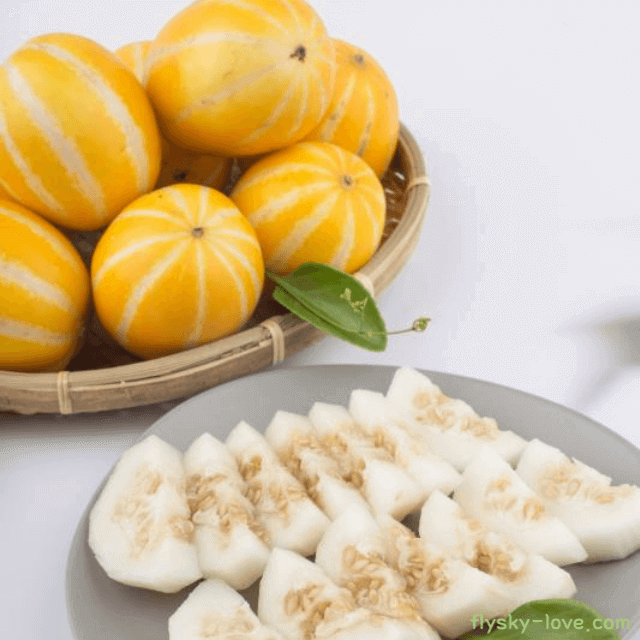 참외 고르는 법