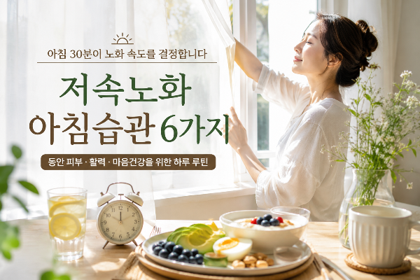 저속노화 아침습관, 하루 30분이 몸과 얼굴 나이를 결정합니다