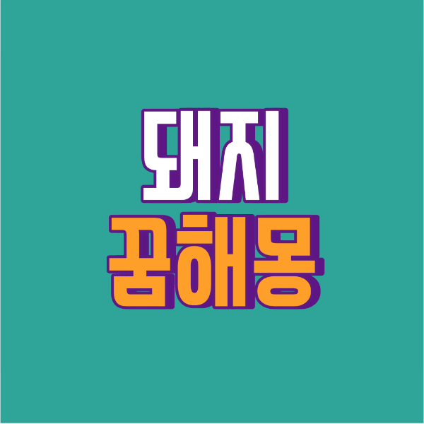 돼지 꿈해몽 풀이 소개사진