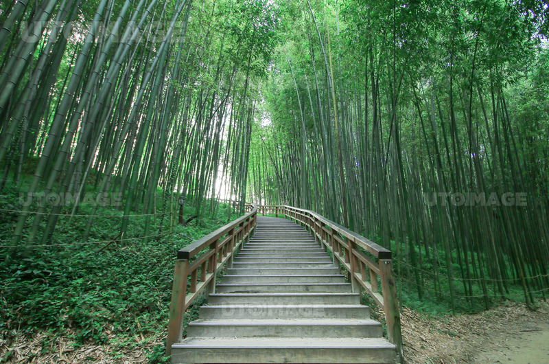 7월 여름휴가지 추천 BEST 5 담양 죽녹원