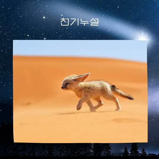 여우가 등장하는 꿈 해몽