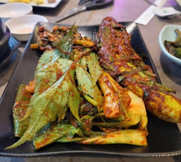 생활의달인-김치달인-다람-유정희