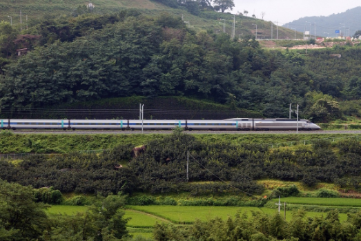 [KTX 특송] 수화물 택배&amp;#44; 퀵서비스 (전국 역&amp;#44; 고속버스터미널&amp;#44; 부산항)