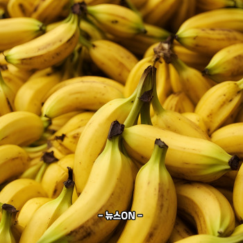 칼륨이 많은 음식