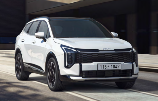 25년 12월 자동차 판매량 순위