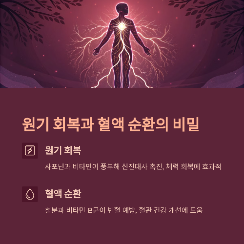 원기 회복: 몸의 활력을 깨우는 산삼의 힘