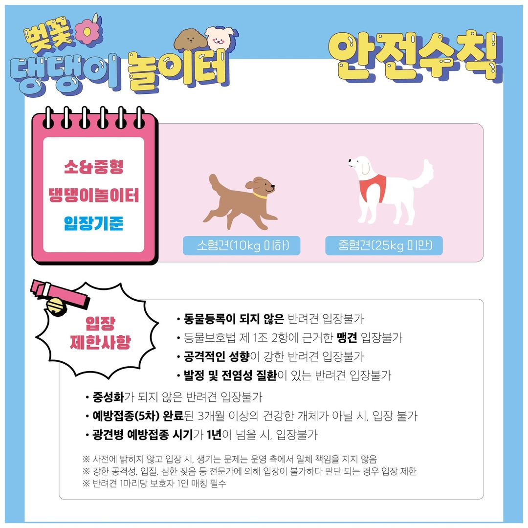경주 벚꽃 축제 보문단지