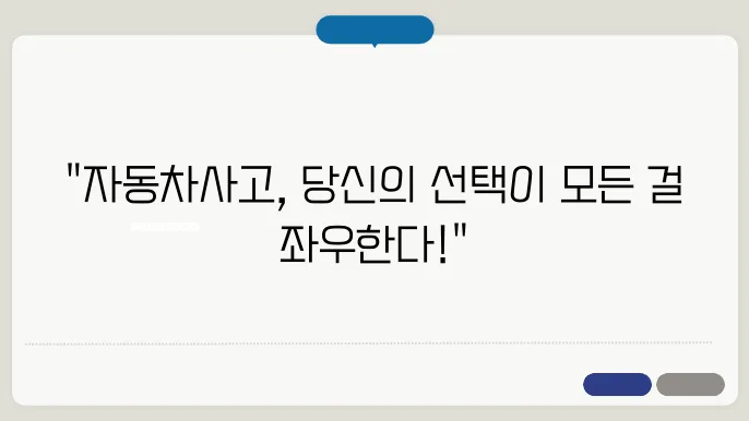 자동차보험 대물배상쬀임