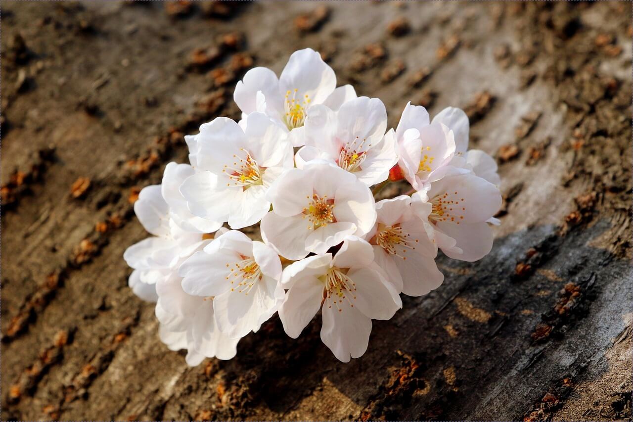 메가커피 창업비용