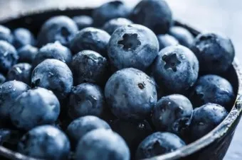 블루베리 효능 먹는법 하루 섭취량 쥬스_10