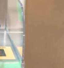 모바일 신분증 