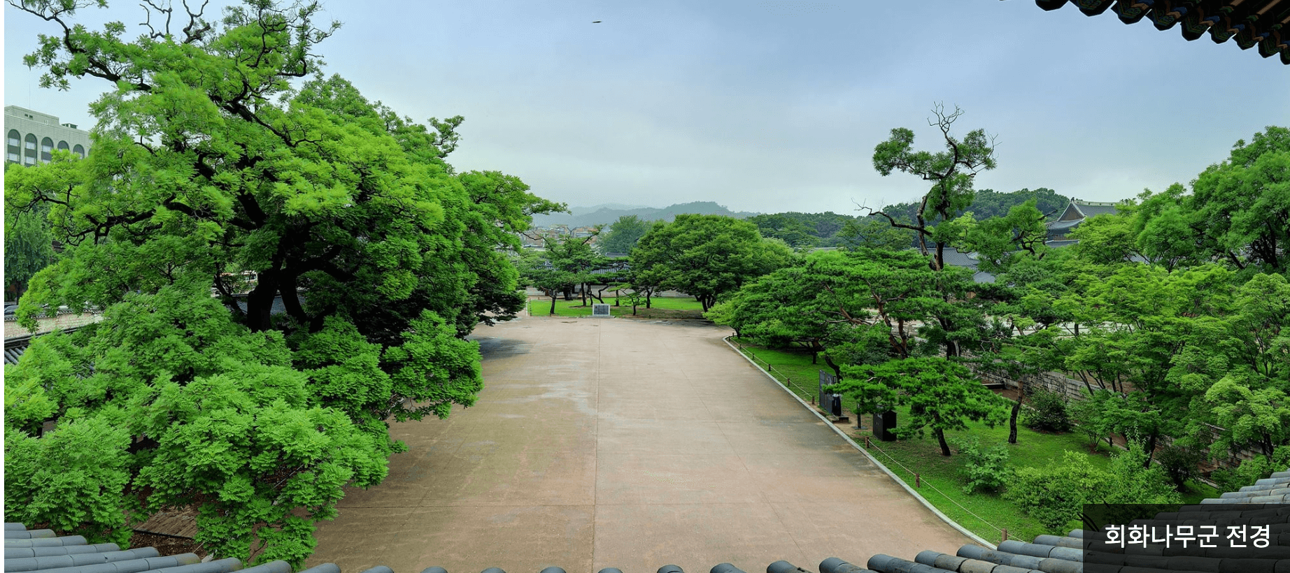 창덕궁 후원 관람