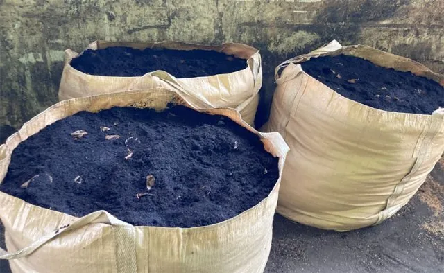 커피찌꺼기 퇴비 활용 비료대체 냄새관리 양조절 안전사용 팁_6