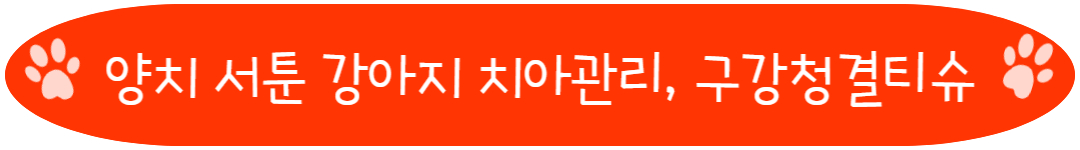 양치서툰 강아지 구강티슈로 치석 제거