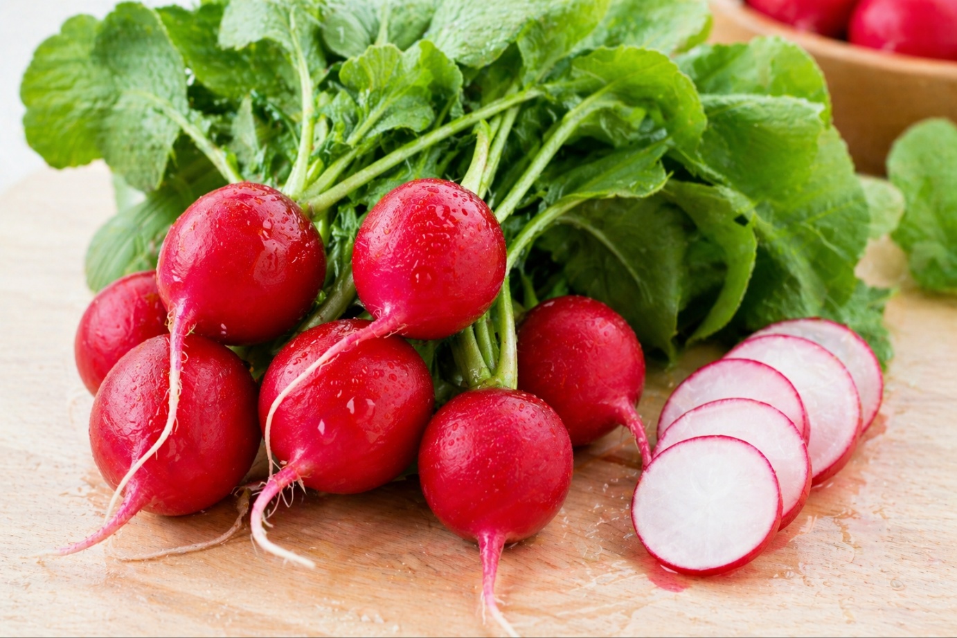 라디시 특징 효능 부작용 알아보기 봄철 상큼한 채소