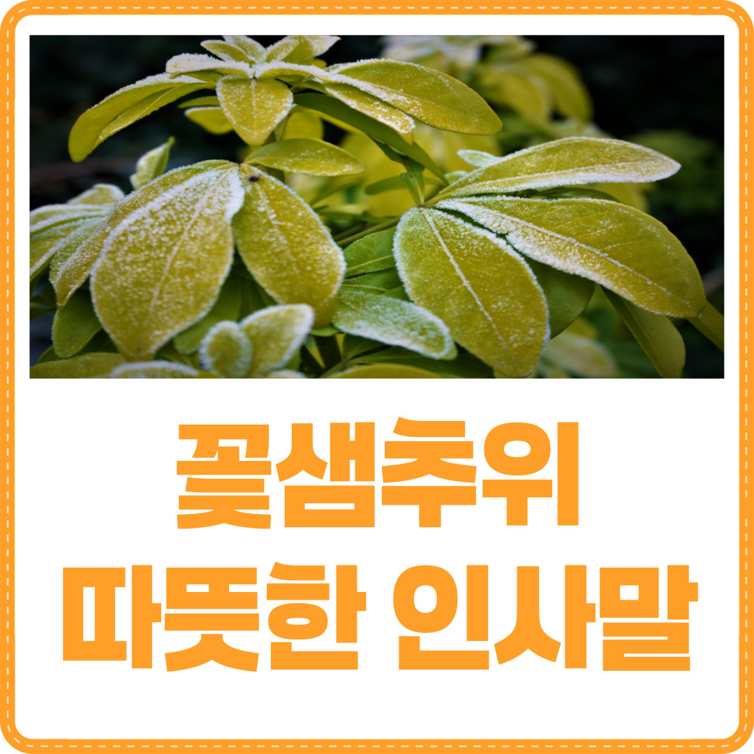 꽃샘추위 인사말