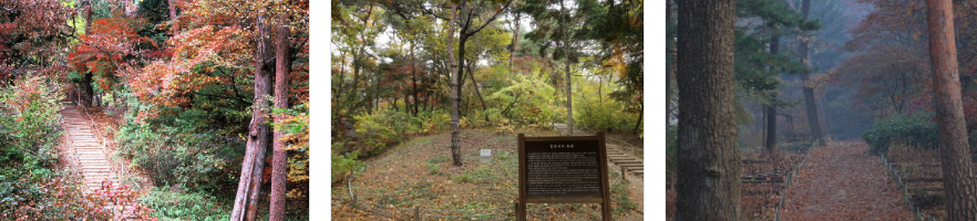 홍릉숲 황후의길