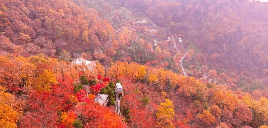 화담숲 가을 단풍 축제