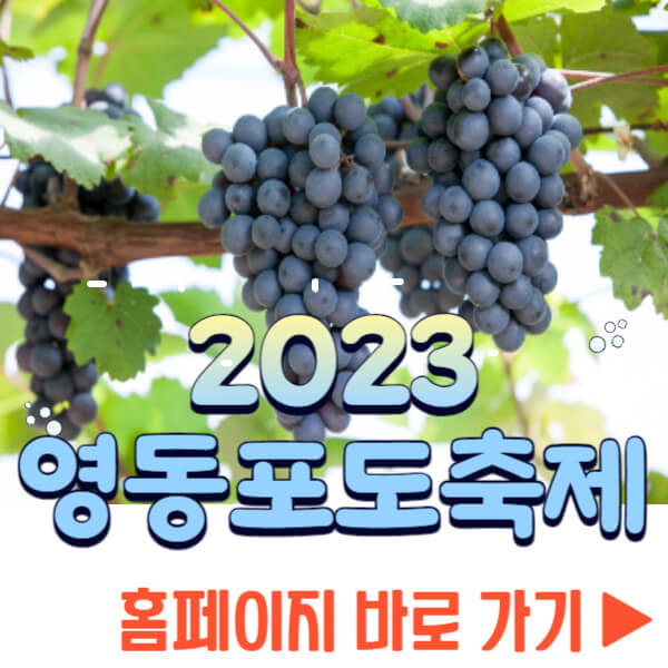 영동포도축제 홈페이지
