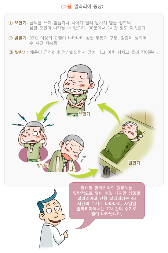 말라리아 증상