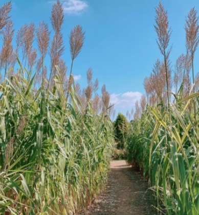태안 청산수목원 여행지