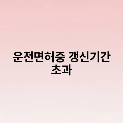 운전면허증 갱신기간 초과
