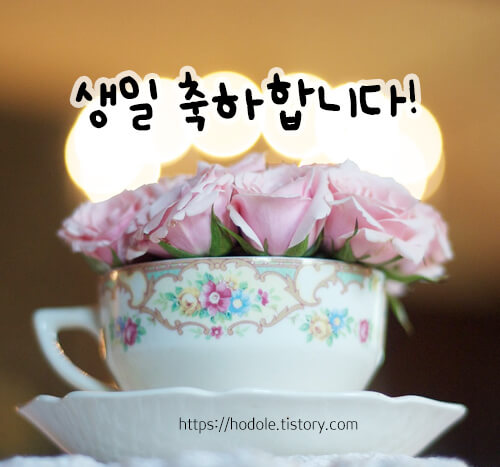 생일축하 메세지 문구 이미지 모음집9