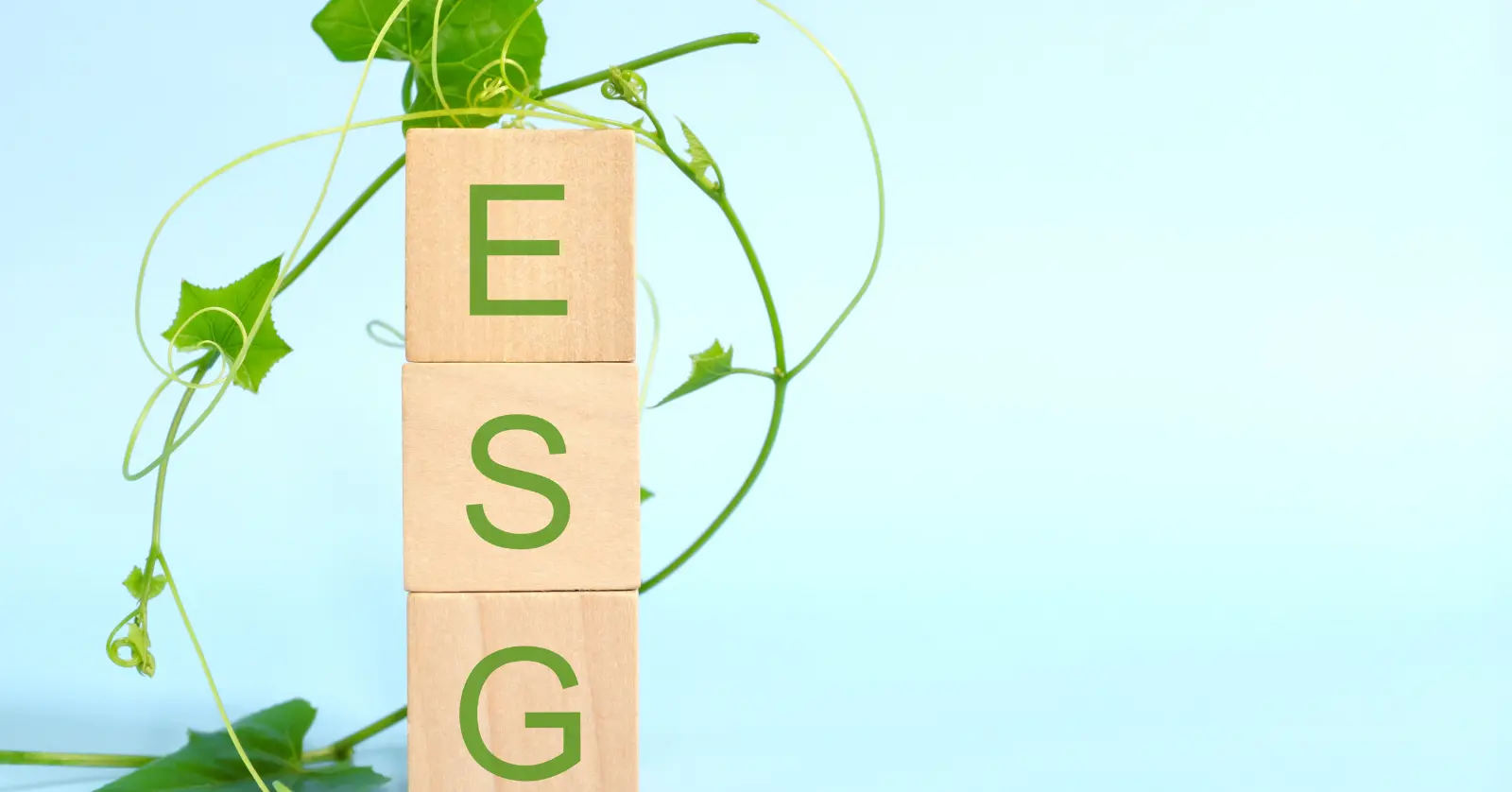 ESG경영이란