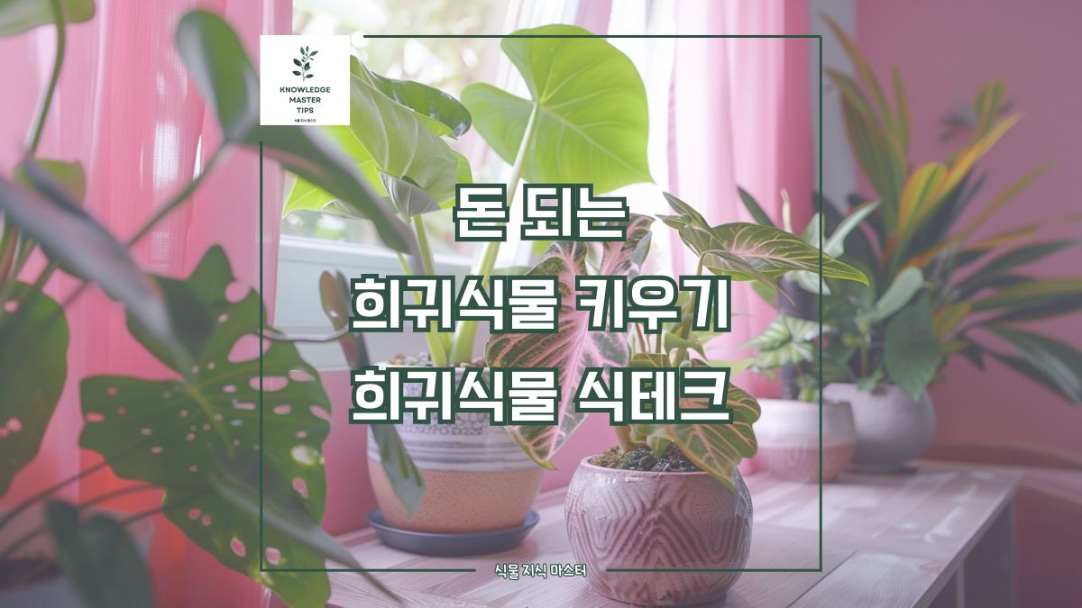 돈 되는 희귀 식물 키우기, 희귀 식물 식테크