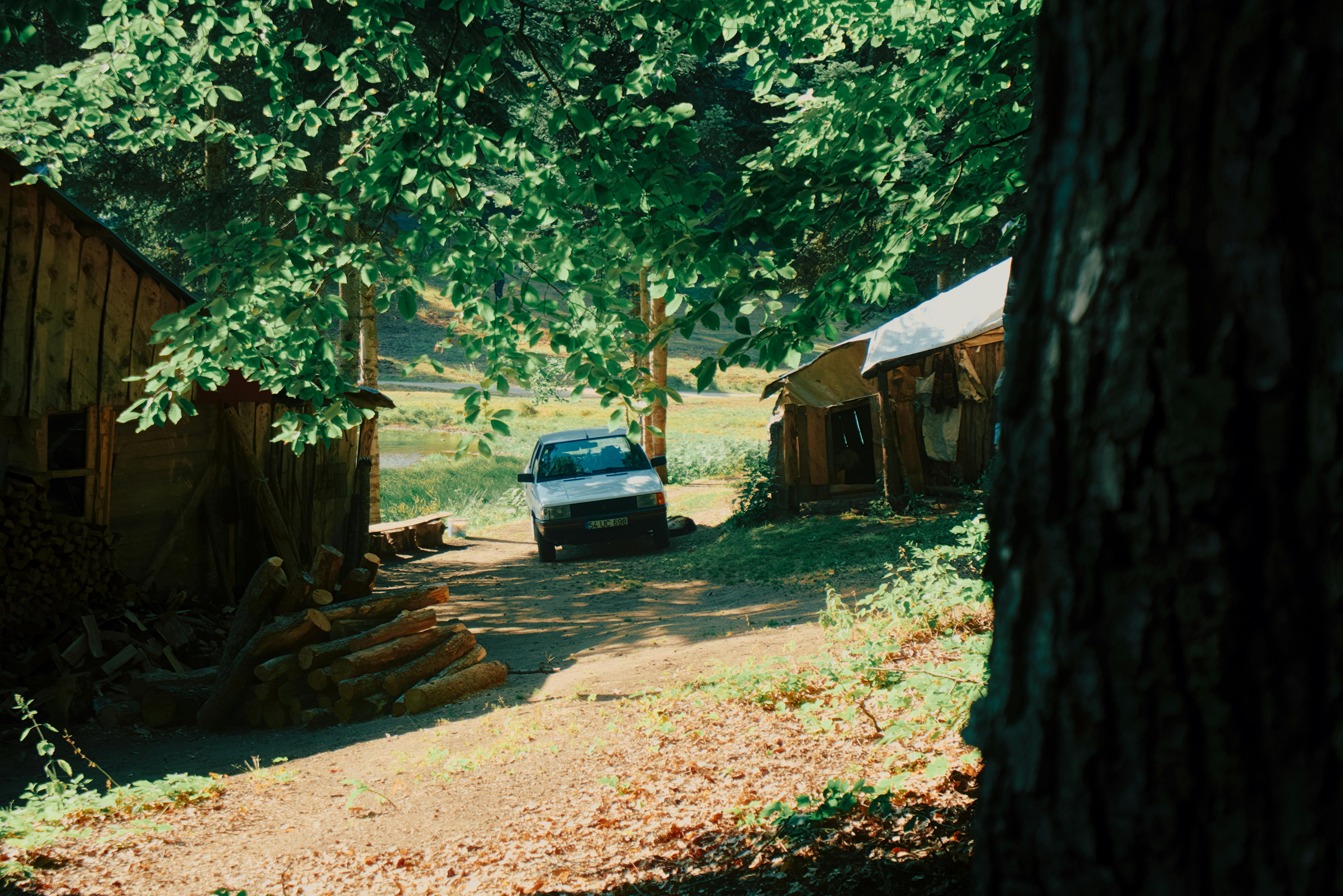대탈출 더 스토리 시즌5 티빙 오리지널 예능 등장인물 공개시간