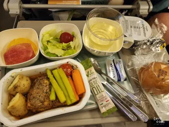 대한항공 KE917 인천취리히 기내식 솔직 후기 메뉴 맛 후기로 총정리_21