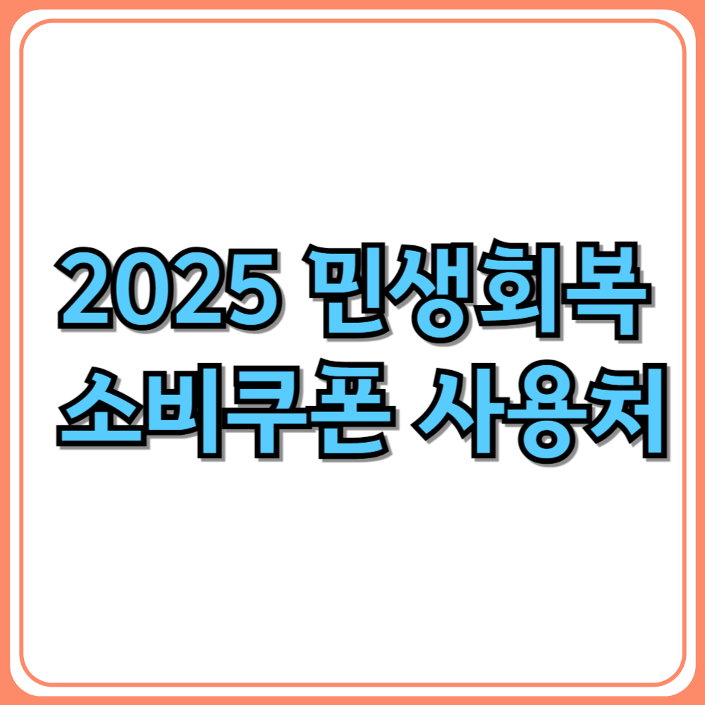 2025 민생회복 소비쿠폰 사용처