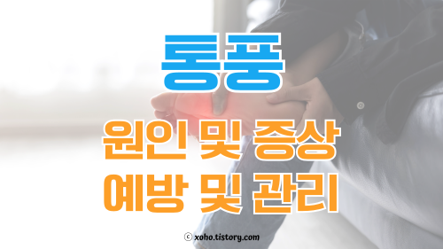 통풍 원인 및 증상과 통풍에 좋은 음식