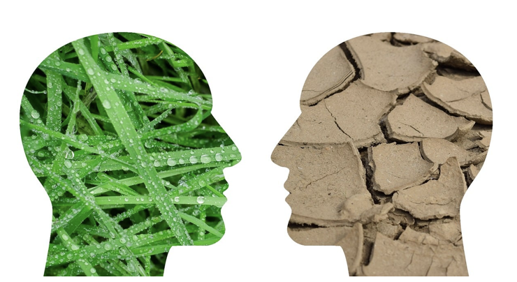 “사람은 변하지 않는다”는 상식이 틀렸던 순간들