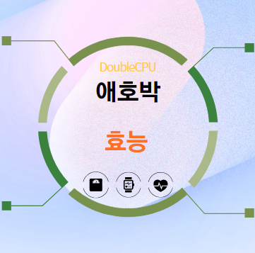 애호박 효능 5가지