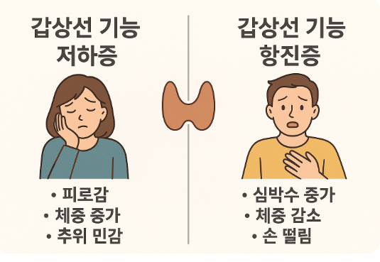 갑상선 기능 저하증과 항진증 증상을 비교해서 표현한 이미지