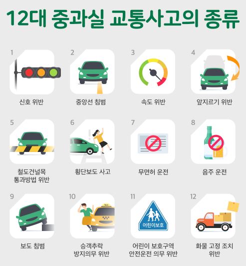 운전자-보험-12대-중과실